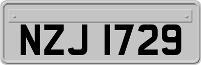 NZJ1729