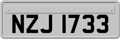 NZJ1733