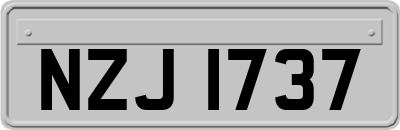 NZJ1737