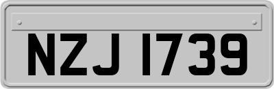 NZJ1739