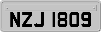 NZJ1809