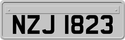 NZJ1823