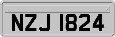 NZJ1824