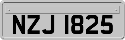 NZJ1825