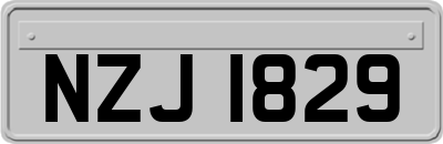 NZJ1829
