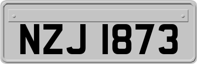 NZJ1873