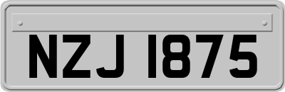 NZJ1875