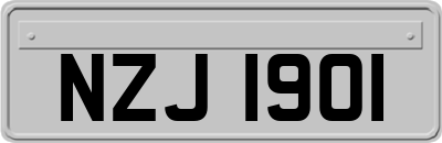 NZJ1901
