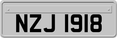 NZJ1918