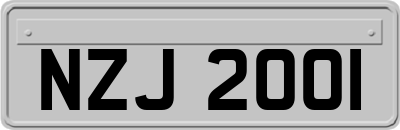 NZJ2001