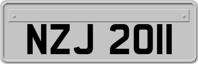 NZJ2011