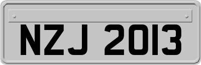NZJ2013