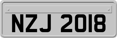 NZJ2018