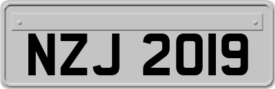 NZJ2019