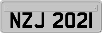 NZJ2021