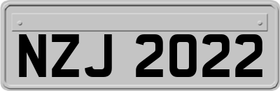 NZJ2022