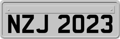 NZJ2023
