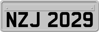 NZJ2029