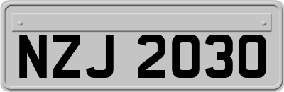 NZJ2030