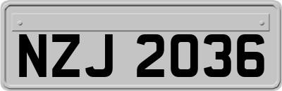 NZJ2036
