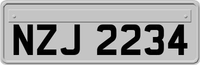 NZJ2234