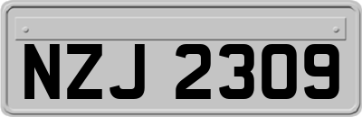 NZJ2309