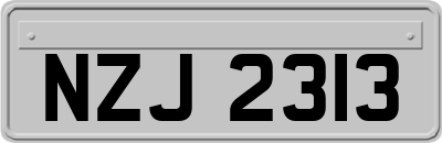 NZJ2313
