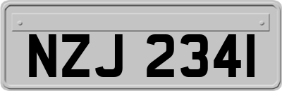 NZJ2341