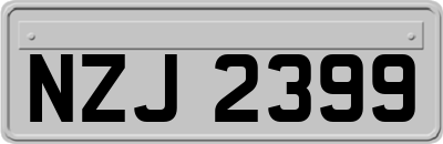NZJ2399