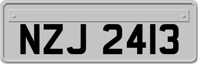 NZJ2413