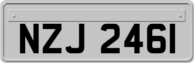 NZJ2461