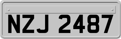NZJ2487