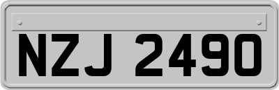 NZJ2490