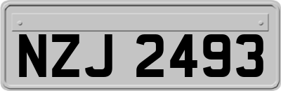 NZJ2493