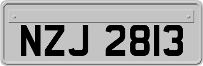 NZJ2813