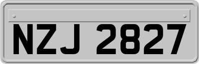 NZJ2827