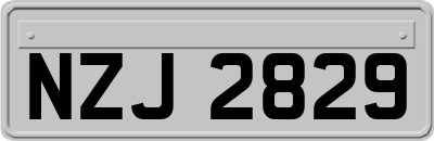 NZJ2829