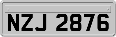 NZJ2876