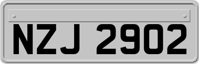 NZJ2902