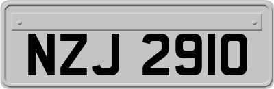 NZJ2910