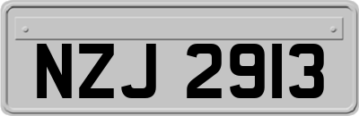 NZJ2913