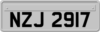 NZJ2917