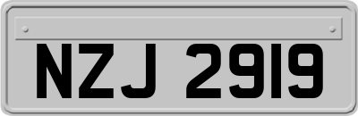NZJ2919