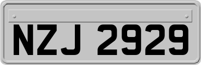 NZJ2929