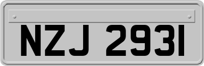 NZJ2931