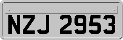 NZJ2953