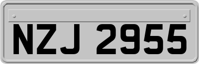 NZJ2955