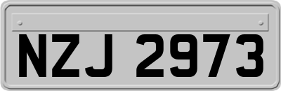 NZJ2973