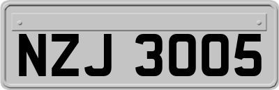 NZJ3005