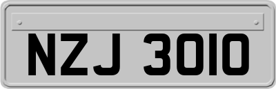 NZJ3010